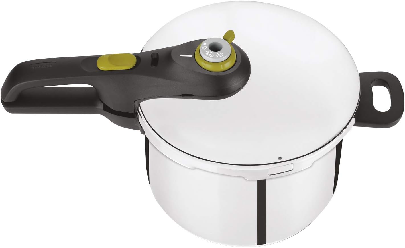 Tefal P2530737 Secure 5 Neo Schnellkochtopf | 6 L | 2-Stufen-Garregler | hochwertiger | Silber/Grün