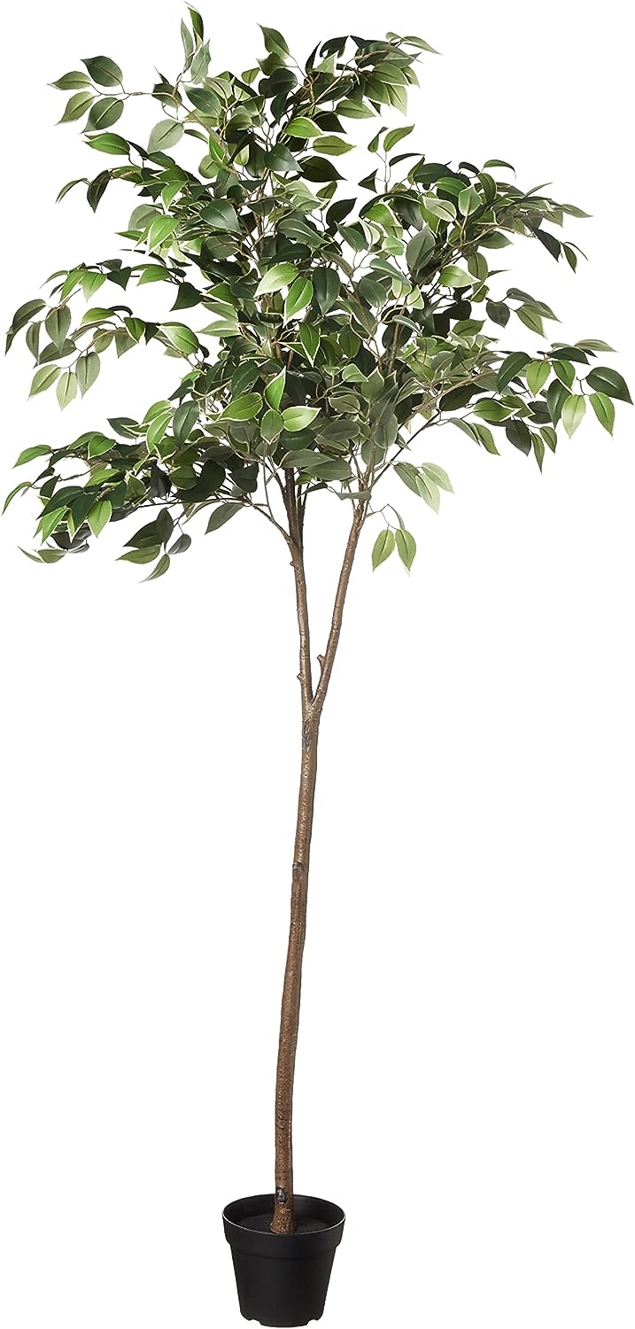 Amazon Basics künstlicher Ficusbaum mit Kunststoff-Blumentopf – 160 cm, Grün